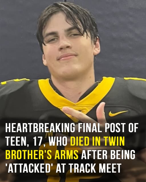 Austin Metcalf’s final, heartbreaking post, in the comments 😭💔👇👇