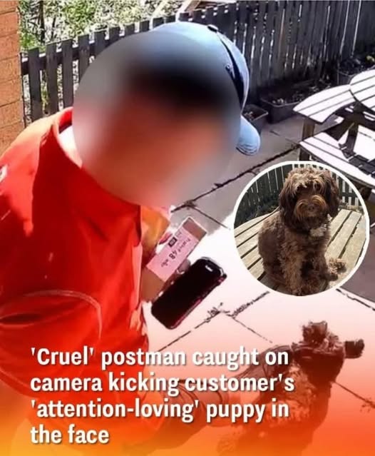 The company has responded after the shocking moment was caught on camera 😧Video in the first comment👇🏻