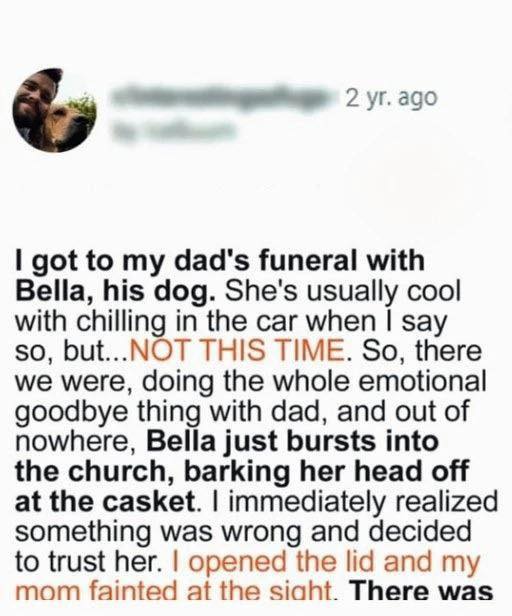 Our dog proved to be smarter than all of us. My story is in the comments below.👇