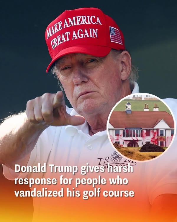 They did some serious damage 😳