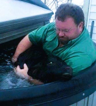 Worthy of respect! 👏🏻Dean struggled to keep his eyes open and saw that the calf was breathing heavily. 😮🫣To save the cow, he raced it to his house.🐄Watch the video in the first comment!👇🏻