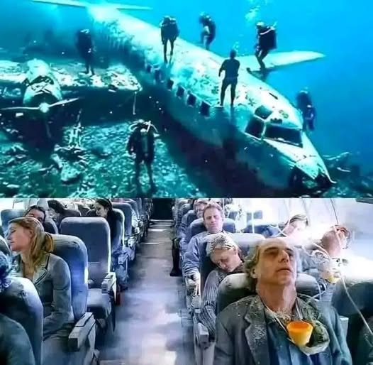 They find missing plane after 40 years with over 92 pa… See more