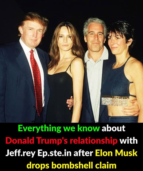 Everything we know about Donald Trump\’s relationship with Jeff.rey Ep.stein after Elon Musk drops bombshell claim. Check 1st comment 👇