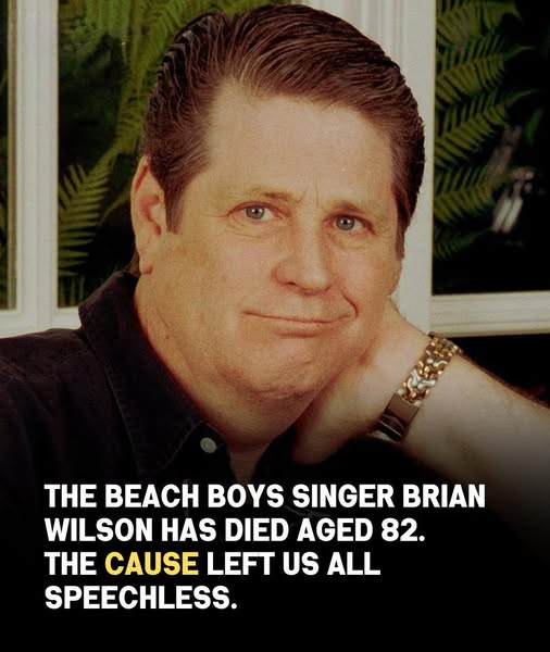 The UNEXPECTED DETAILS behind Brian Wilson’s passing that no one saw coming 👀 See it in comment👇👇