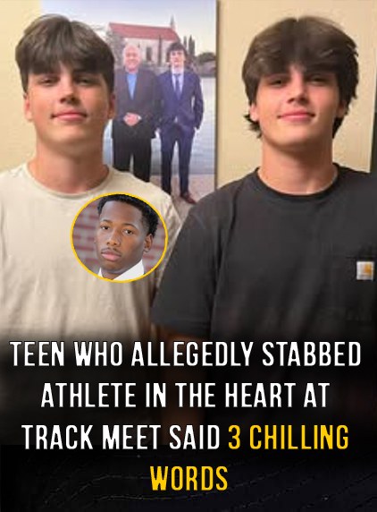 A tragic update is here 😭 See comments 👇