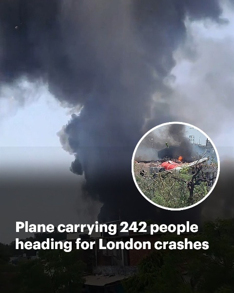 The airline has shared a statement. Read more