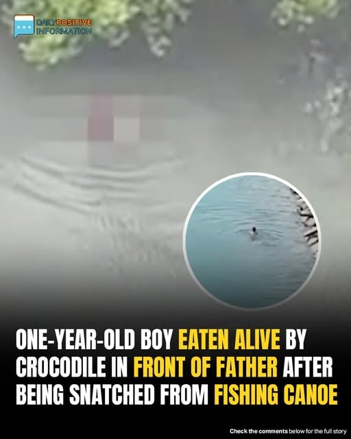 Boy eaten alive by crocodile in front of father — search teams find only THIS 😭 What started as a peaceful fishing trip ended in unthinkable horror 💔 Locals now fear it could happen again… Full tragedy in comments 👇