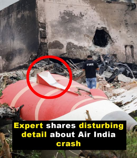 Flight expert shares disturbing Air India crash theory