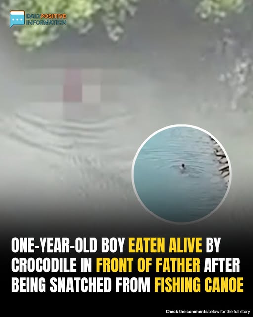 Boy eaten alive by crocodile in front of father — search teams find only THIS 😭 What started as a peaceful fishing trip ended in unthinkable horror 💔 Locals now fear it could happen again… Full tragedy in comments 👇