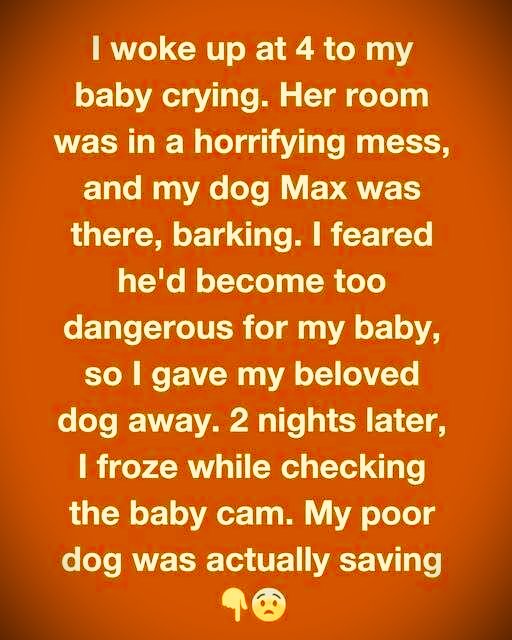 MY DOG WASN’T THE THREAT—HE WAS THE HERO I NEVER UNDERSTOOD