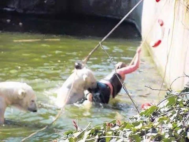 It’s even difficult to watch this video up to the end!🤯At the Berlin Zoo, a polar bear attacked a thirty-two-year-old lady who had jumped into its enclosure.😱Let’s watc… See more