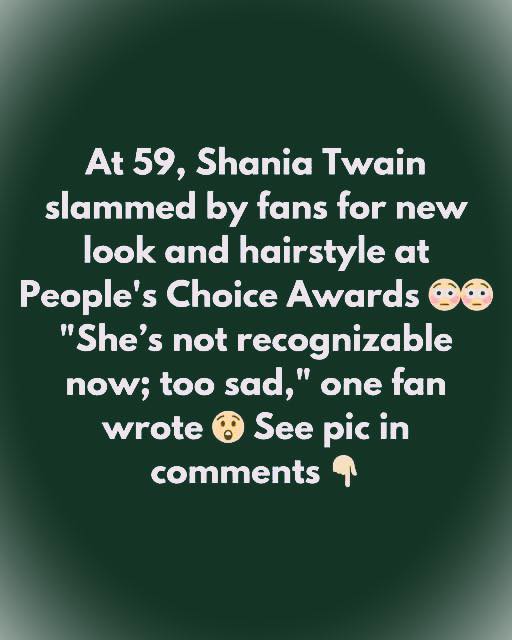 Shania Twain catches heat for blonde loo