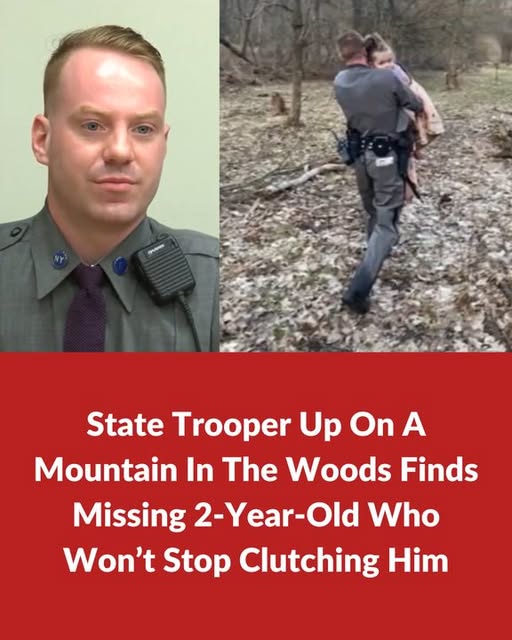 State Trooper Up On A Mountain In The Woods Finds Missing 2-Year-Old Who Won’t Stop Clutching Him 💬⬇