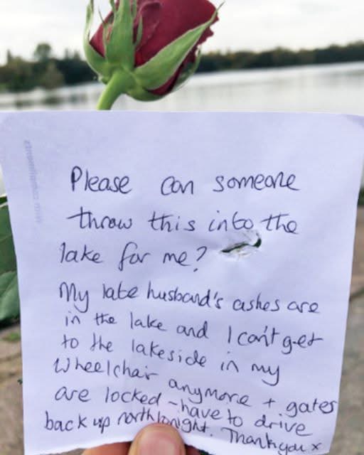 I FOUND A NOTE ON A ROSE—AND WHAT IT SAID BROKE ME I was walking by the lake when I saw it—a single red rose with a note attached, resting near the edge of the water. C… See more