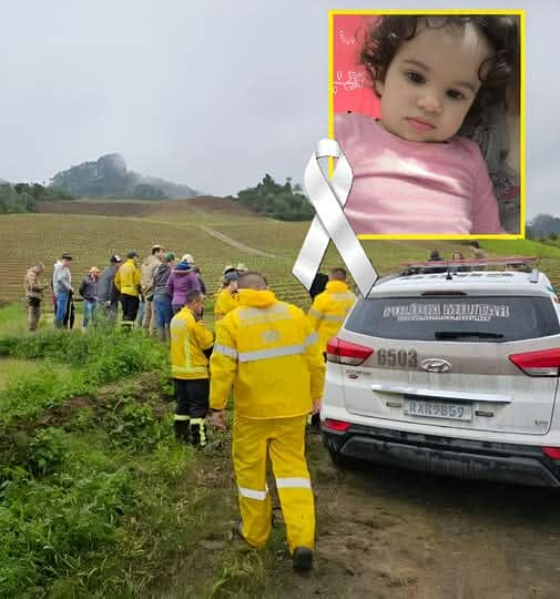 3 year old reported missing, three hours later went to see where and how he was found. LINK IN FIRST COMMENT⬇