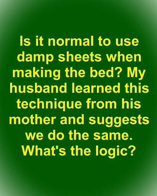 Mother in laws lol. Full article 👇 💬