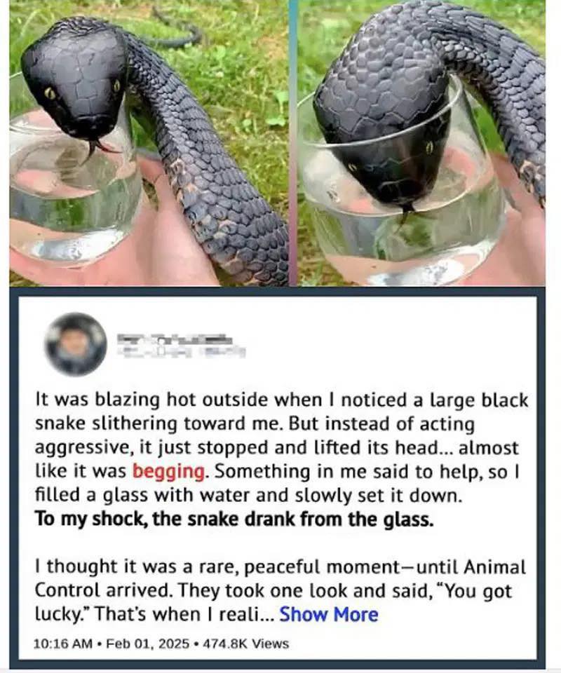 I thought it was just thirsty—until I saw the truth…Details in comment