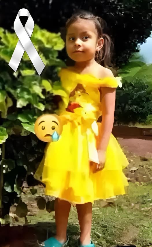 The 5-Year-old girl who was hit by a… See more