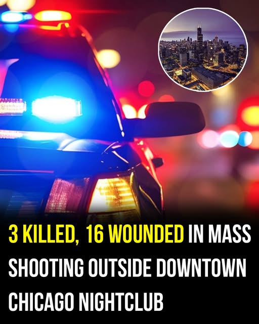 Many fearing the amount of dead will only increase 💔💬⬇