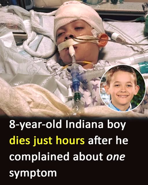 The family rushed him to the hospital, where doctors made a horrifying discovery 😭read more in comment