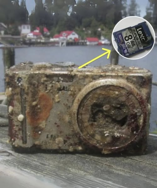 Diver Develops Film From Camera Found At Bottom Of Sea, Freezes Up When He Sees Face..😮 Check 1st comment 👇