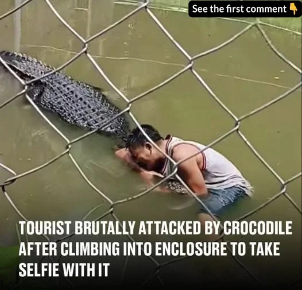 He claimed to have mistook the huge croc for a statue 😳😳😳👇