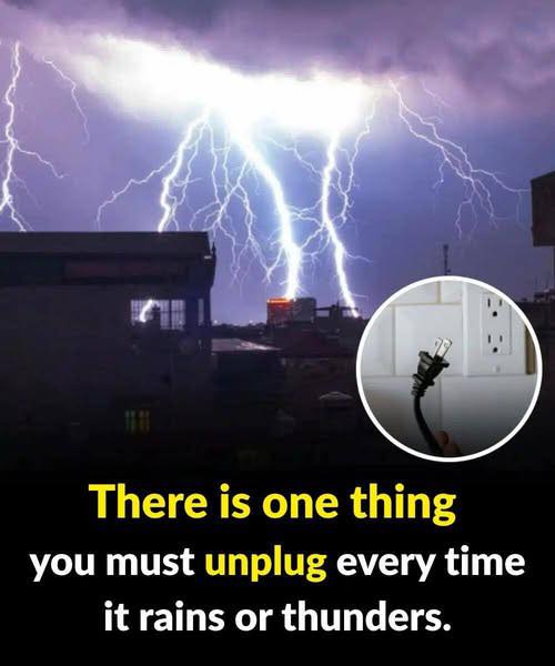 There is one thing you must unplug every time it rains or thunders. Check 1st comment 👇