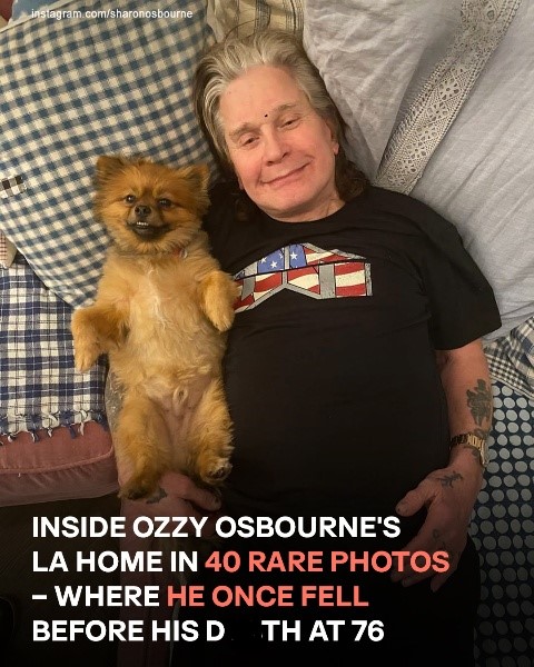 The Legendary Rocker Said He Didn\’t Want To D*e In America Check the 1st comment…