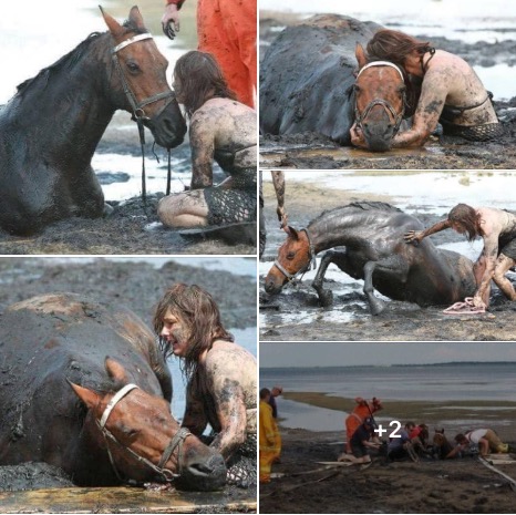 COURAGE OF A WOMAN Graham refused to leave her horse abandoned and sentenced to certain death. , she spent 3 hours clinging to the animal while she struggled not to si… See more