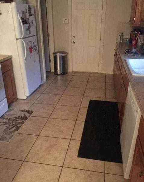 There’s a big dog hiding in this kitchen, but only a few can find it…👇👇