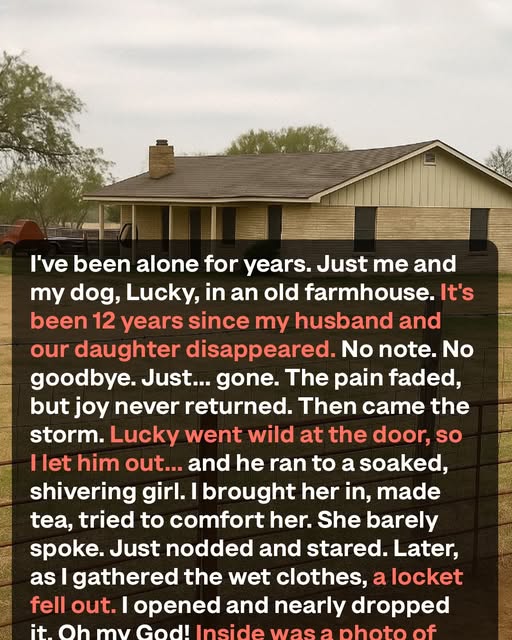 Full story in comments.👇