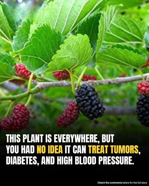 You’ve probably walked past it a hundred times…