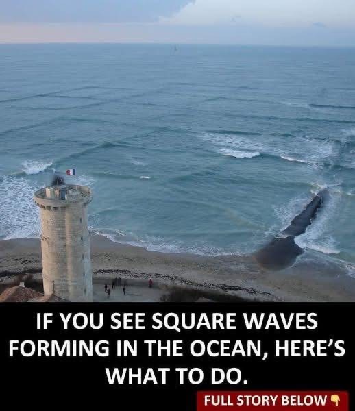 TG If you see square waves forming in the ocean, get out of the water immediately