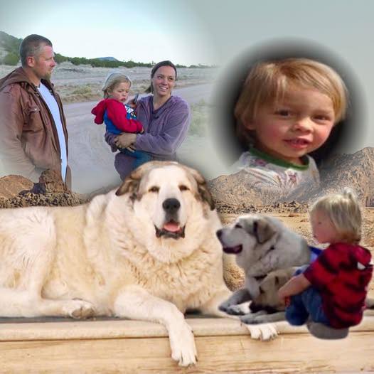 The dog that led a 2-year-old boy to safety after he spent a night alone in the Arizona wilderness last week is being praised for his heroism with an influx of gifts from strangers. Scotty Dunton, who owns the 6-year-old Anatolian Pyrenees named Buford, said gifts have been arriving at his doorstep since Boden Allen’s rescue. “Toys, chew toys, snacks, you name it, just a little bit of everything,” Dunton told NBC affiliate KPNX of Mesa.— full details below👇 Have a great time, everyone! 🌞🌳