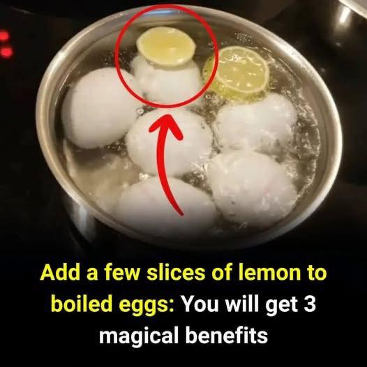 Tips for boiling eggs with lemon that many people don\’t know