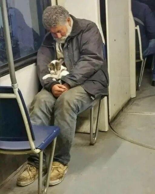 HE SAID HE WAS JUST “KEEPING HER WARM”—BUT IT MEANT SO MUCH MORE I saw him sitting on the Blue Line, two seats away from the back. His coat zipped up tightly, his worn-… See more