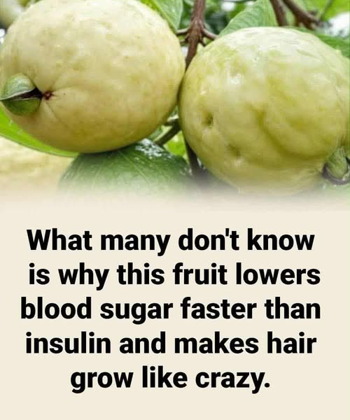 Doctors reveal that if you have this fruit in your house, you have a treasure. Here I tell you why and how to eat. See more💬👇