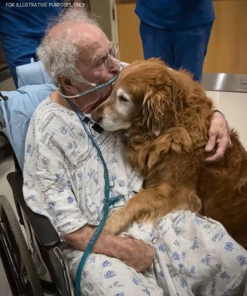 HE KEPT WHISPERING “MURPHY”… BUT NONE OF US KNEW WHO THAT WAS We weren’t sure he’d make it through the night.… See more👇