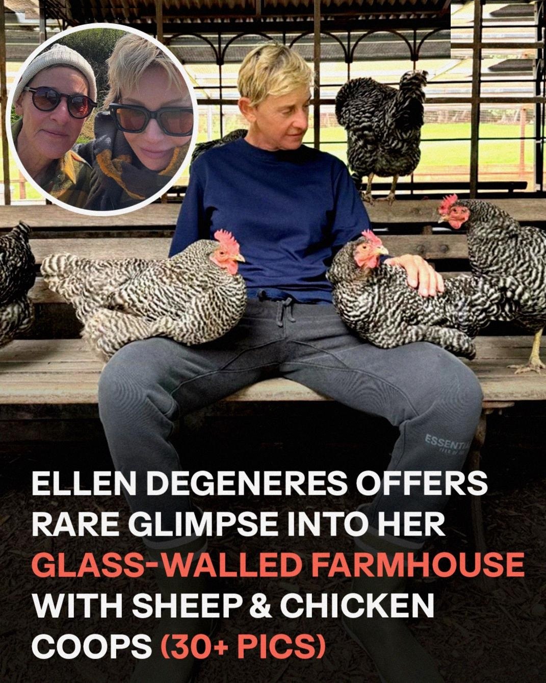 “I can’t get over this kind of beauty,” she admitted. 😲 Take a look at Ellen DeGeneres and Portia de Rossi’s dreamy farm. (check in the first comment👇)