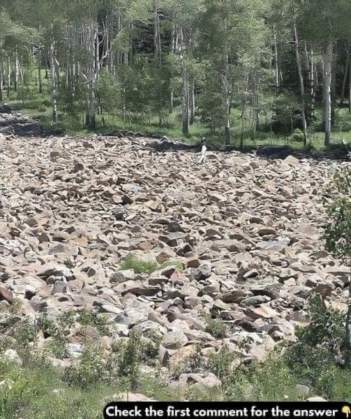 YOU HAVE A “SNIPER’S EYE” IF YOU CAN SPOT THE WOMAN IN THIS PICTURE! 🧐 Check the first comment for the answer 👇