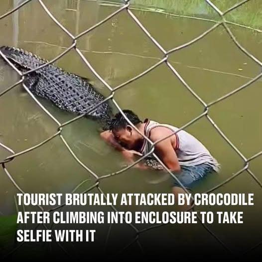 He claimed to have mistook the huge croc for a statu 😮😮 See comments 👇🏼