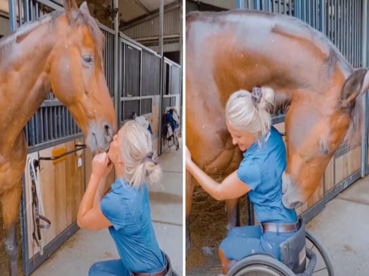 Young woman was hospitalized after being penetrated…See more