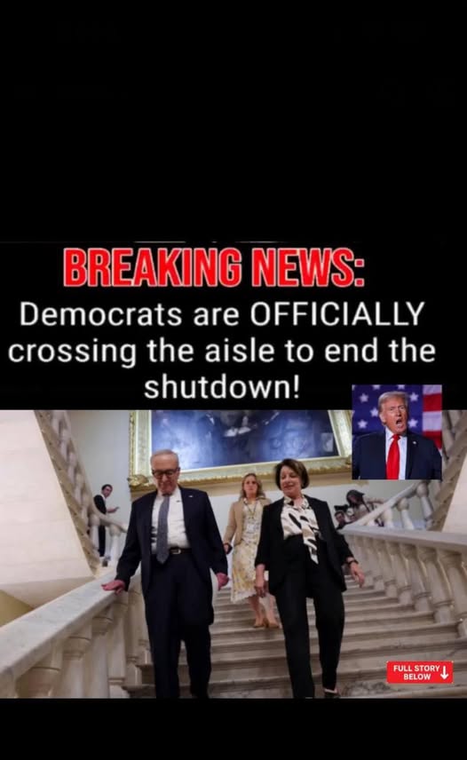 (check in the first comment👇)