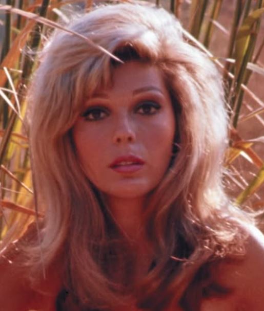 😯❤️Nancy Sinatra is now 85 – try not to smile when you see her now👀you will be surprised…Photo’s in comments.