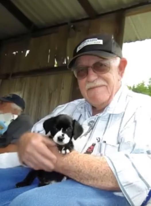 91-Year-Old Widower Finds an Abandoned Puppy on His Doorstep — He Had No Idea That Tiny Dog Would Soon Save His Life 🐶❤️👇
