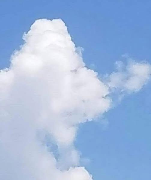 Apparently, if you can see a fish, you\’re left-brained, and if you can see a plane, you\’re right-brained. What do you see? Check the first comment for meaning 👇