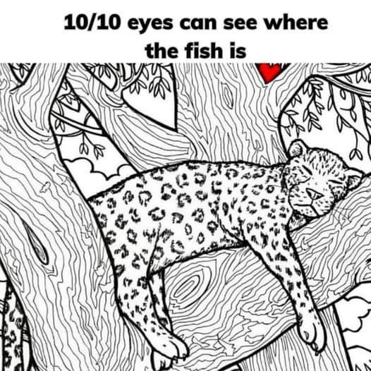 THE HIDDEN FISH PUZZLE THAT’S BREAKING THE INTERNET 🐟🤯 Can YOU spot it? Most people can’t! Answer in the comments 👇