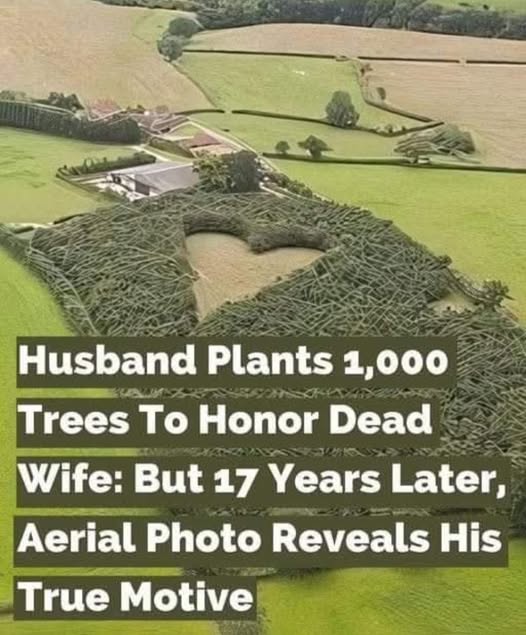 A heartfelt tribute turns into something unexpected🌳 Read more in the first comment 👇