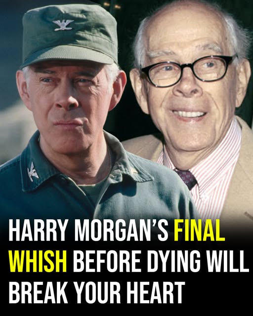 Harry Morgan, the man millions knew as Colonel Sherman T. Potter in MASH – had a heartbreaking request before dying. Check comments 💔👇🏻