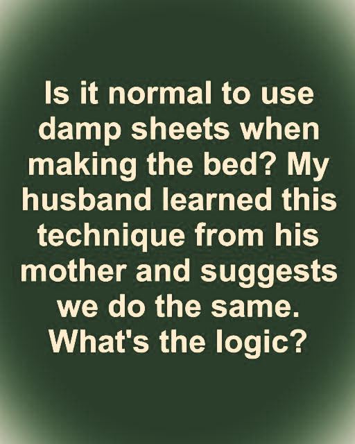 Mother in laws lol. Full article 👇 💬